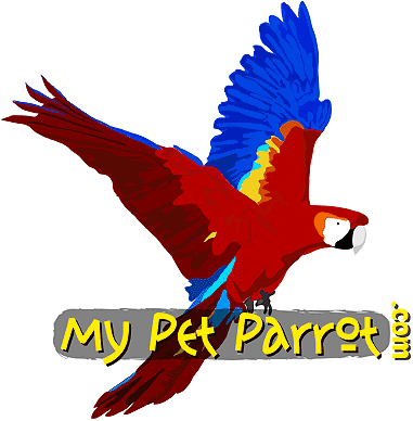 ©Mypetparrot.com